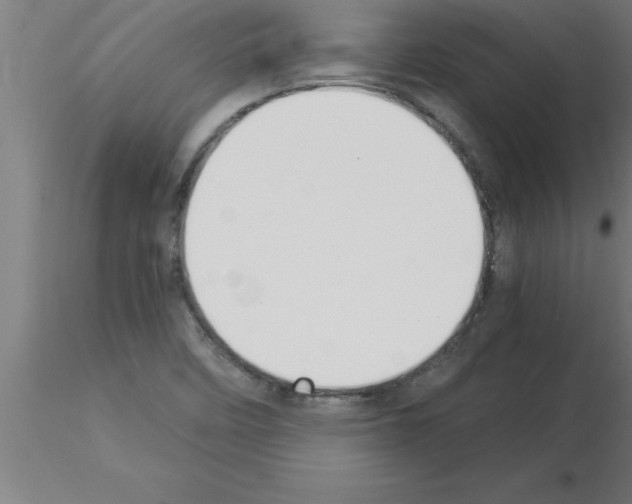 X0000115281458200912111215