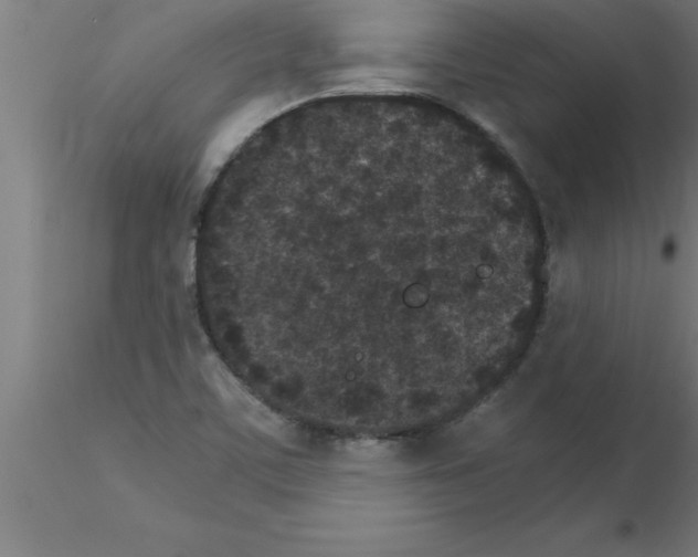 X0000115281459200912111215