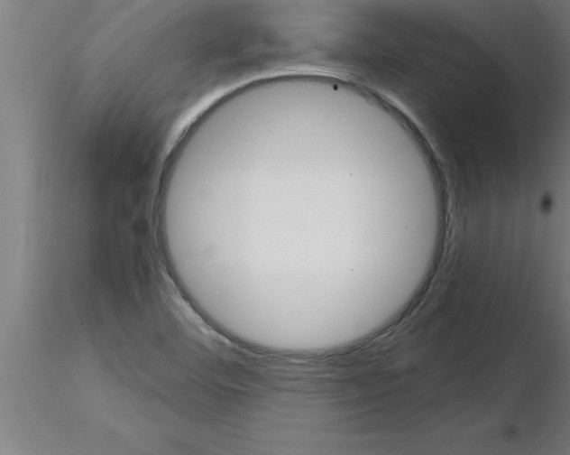 X0000115281460200912111215