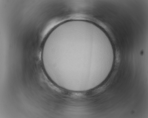 X0000115281462200912111215