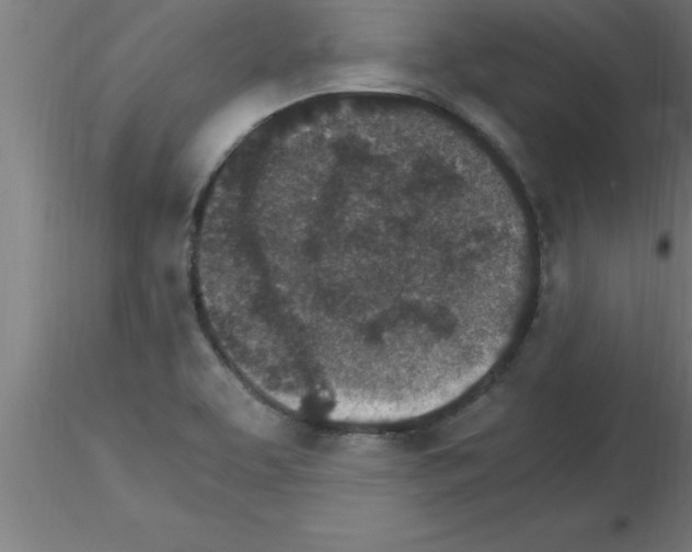 X0000115281463200912111215