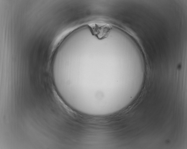 X0000115281464200912111215