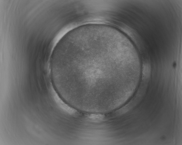 X0000115281466200912111215