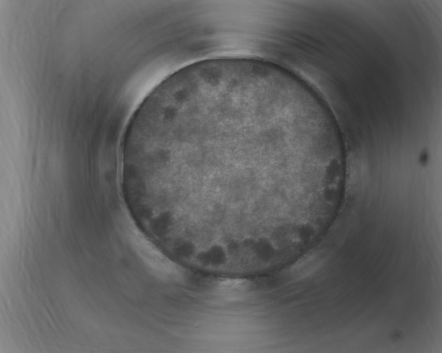 X0000115281467200912111215