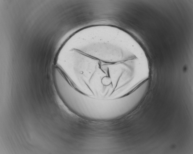 X0000115281468200912111215