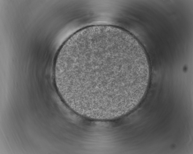 X0000115281469200912111215