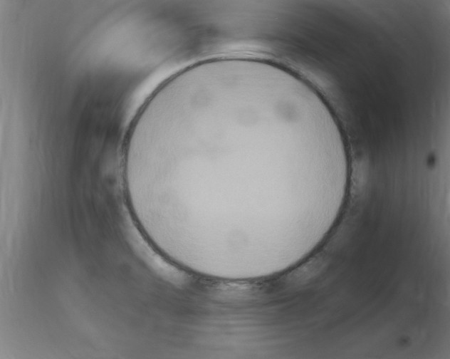 X0000115281470200912111215