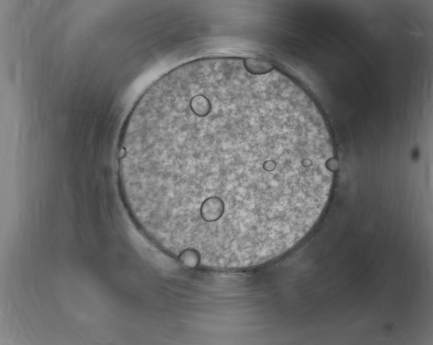 X0000115281471200912111215