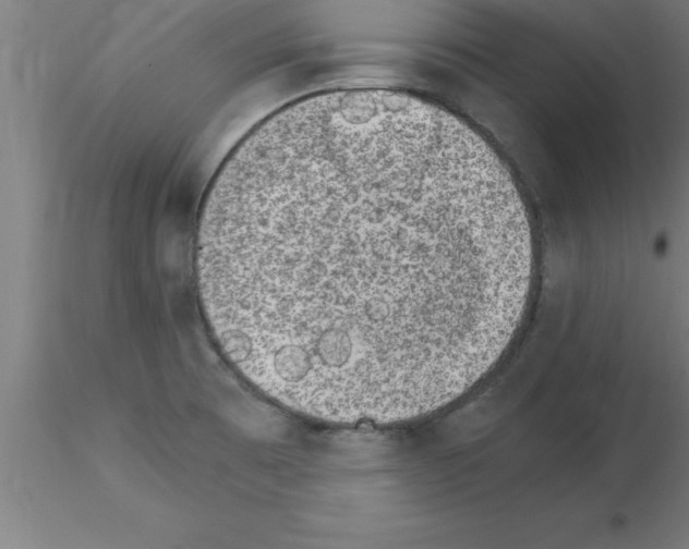 X0000115281473200912111215