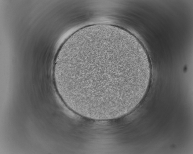 X0000115281477200912111215