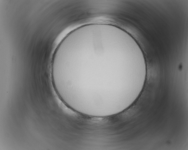 X0000115281478200912111215