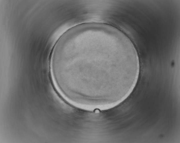 X0000115281479200912111215