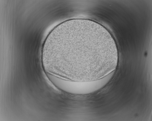 X0000115281480200912111215