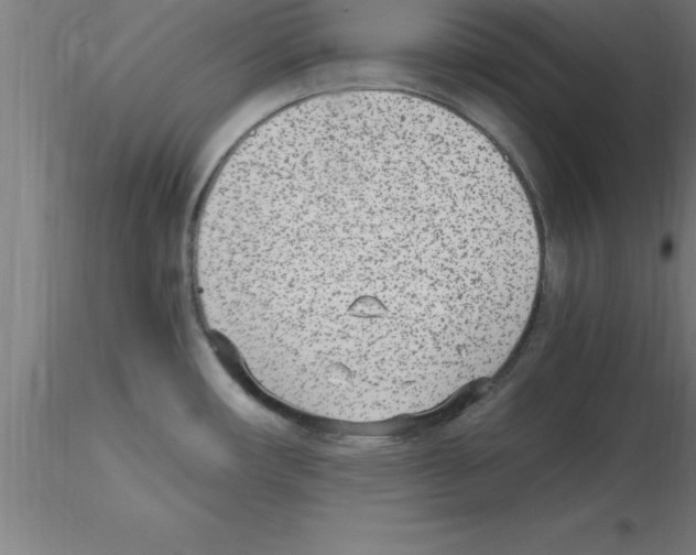 X0000115281482200912111215