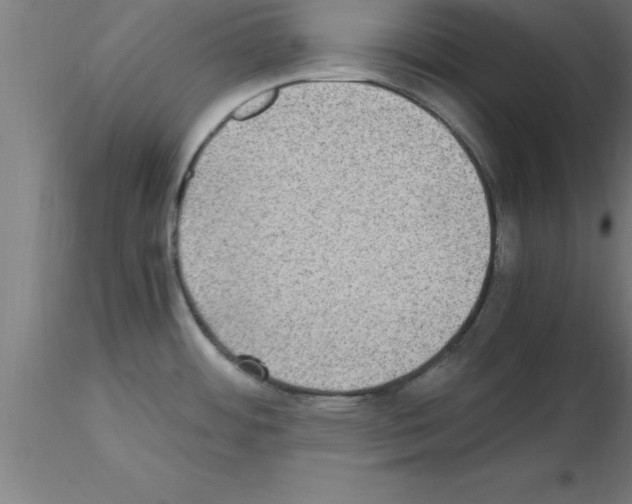 X0000115281484200912111215