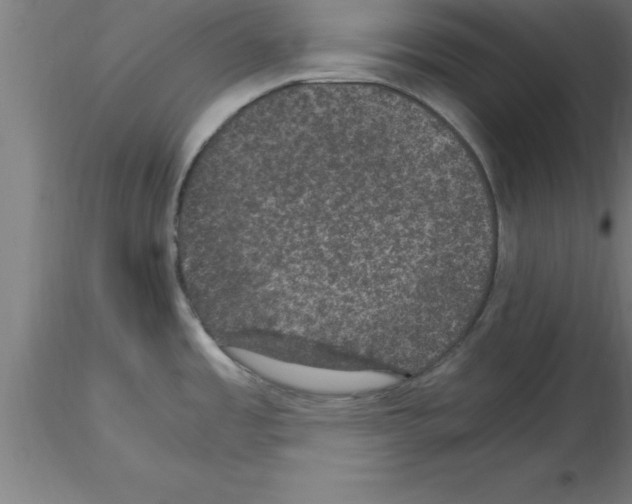 X0000115281485200912111215