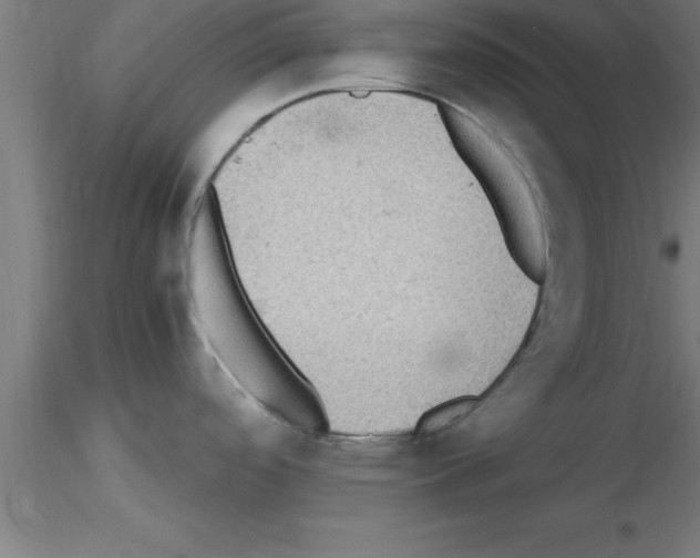 X0000115281488200912111215