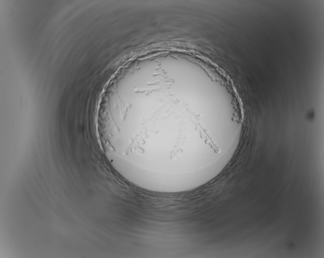 X0000115281489200912111214