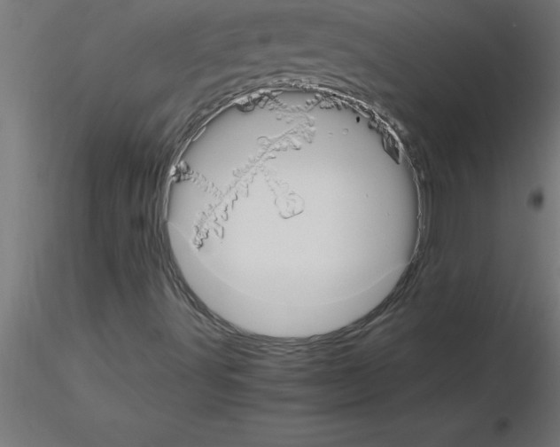 X0000115281491200912111214