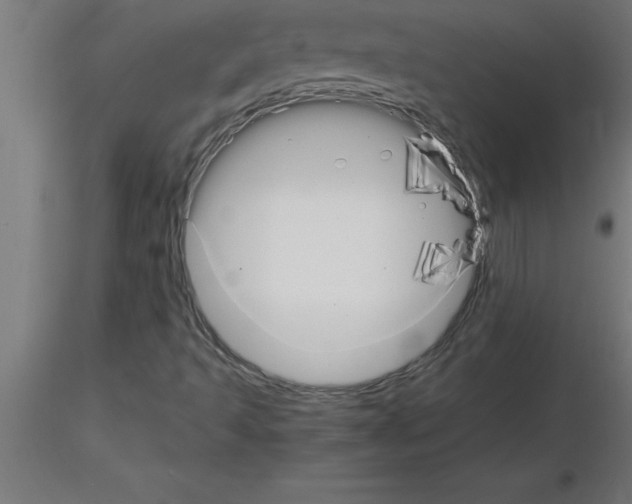 X0000115281493200912111214