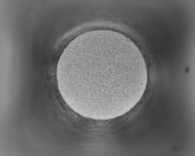 X0000115281494200912111214