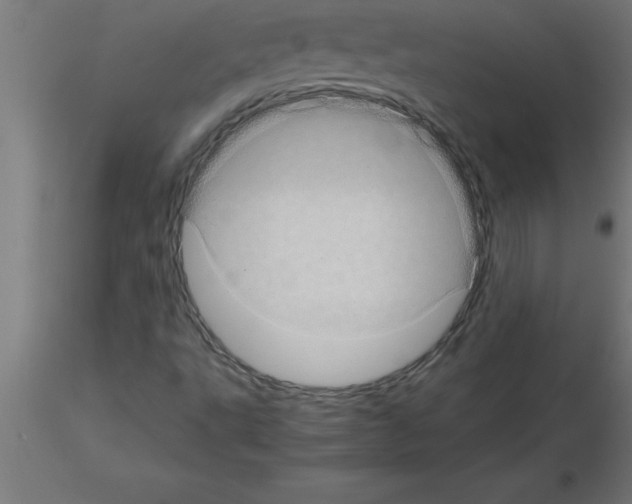 X0000115281495200912111214