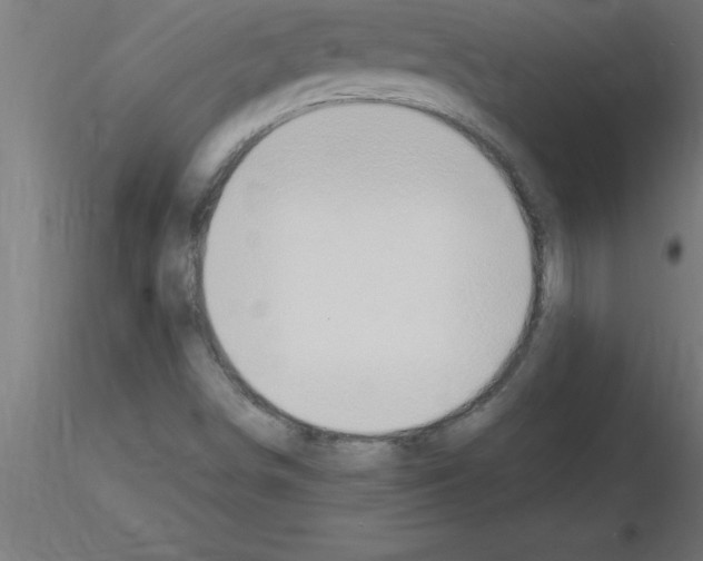 X0000115281498200912111214