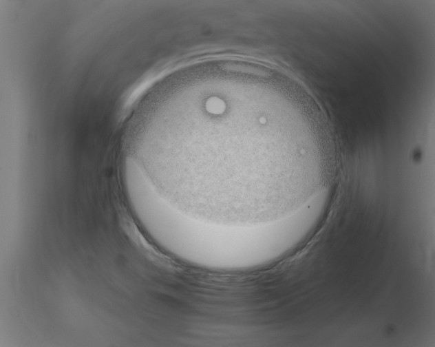 X0000115281503200912111214