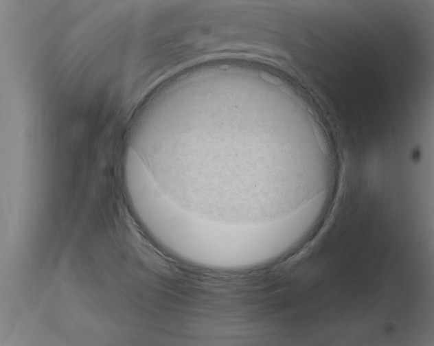 X0000115281505200912111214