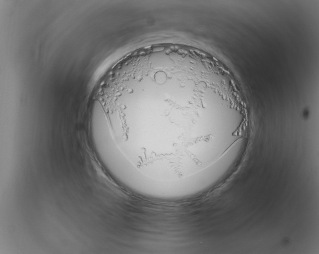 X0000115281509200912111214