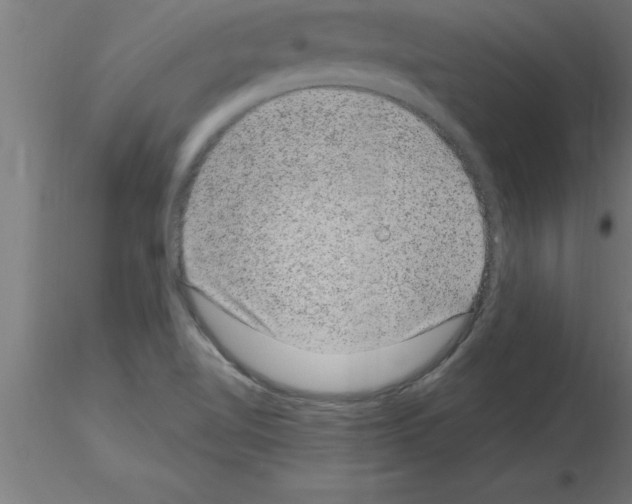 X0000115281510200912111214