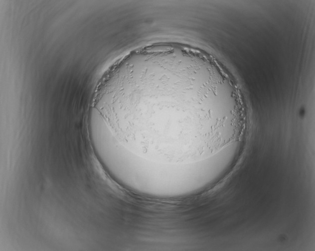 X0000115281513200912111214