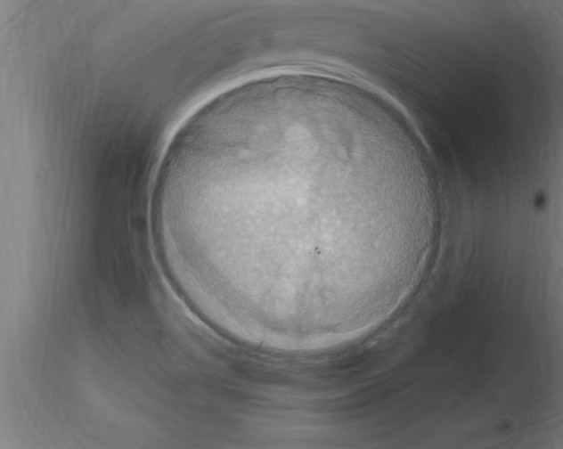 X0000115281514200912111214