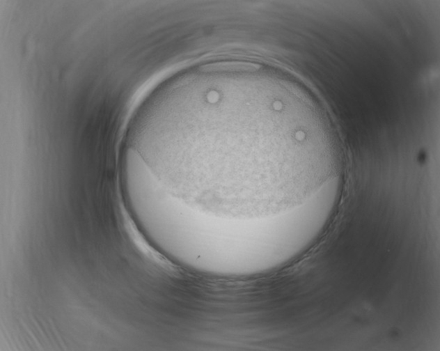 X0000115281515200912111214