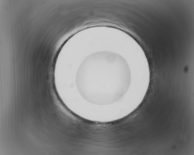 X0000115281518200912111214