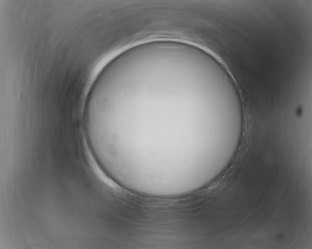 X0000115281519200912111214