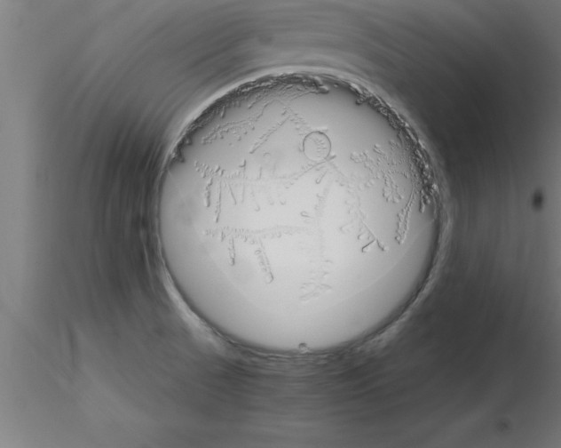 X0000115281521200912111214