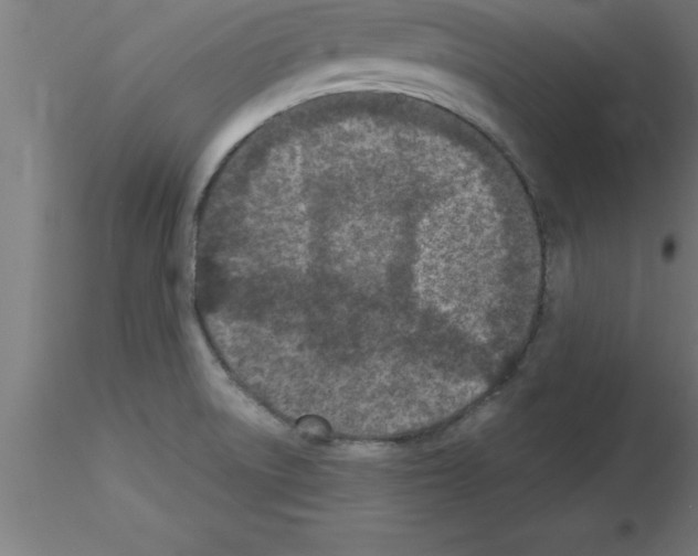 X0000115281522200912111214