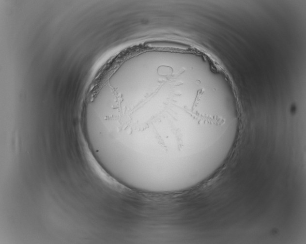 X0000115281523200912111214