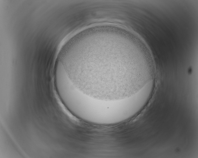 X0000115281525200912111214