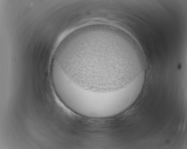 X0000115281527200912111214