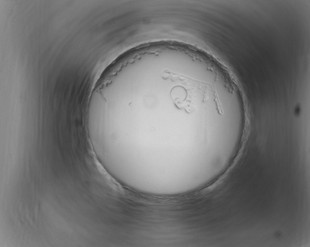 X0000115281529200912111215