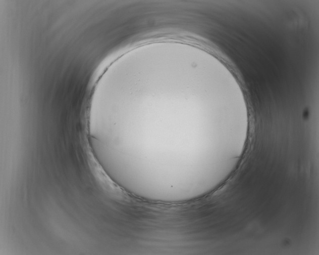 X0000115281530200912111215