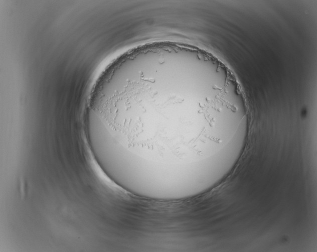 X0000115281531200912111215