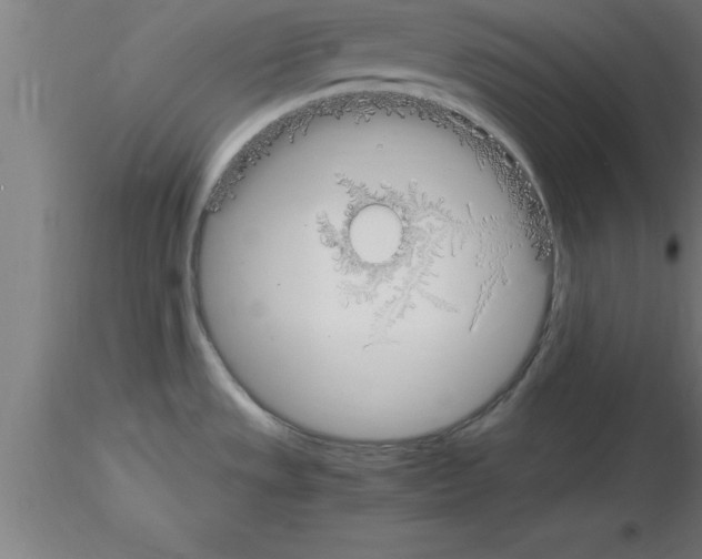 X0000115281533200912111215