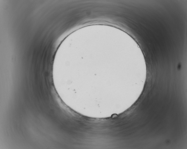 X0000115281534200912111215