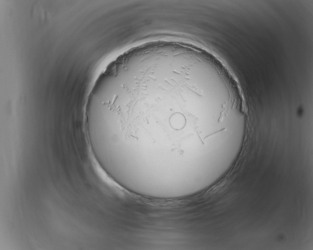 X0000115281535200912111215