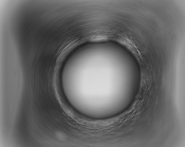 X0000115290001200911091001