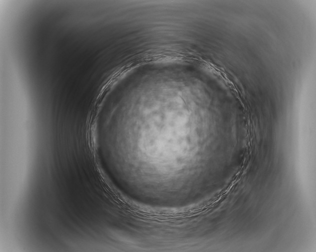 X0000115290002200911091001