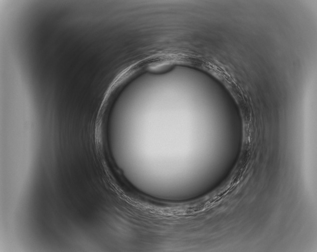 X0000115290004200911091001